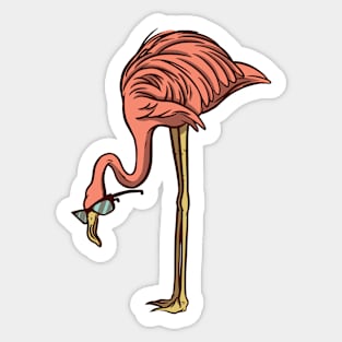 Cool Flamingo with Sunglasses Sticker